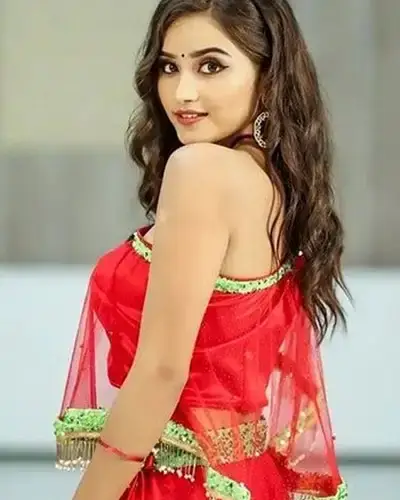 Call Girls Service Shevgaon